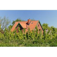 10800_2535 Wohnhaus zwischen Obstbäumen am Esteufer. | 
